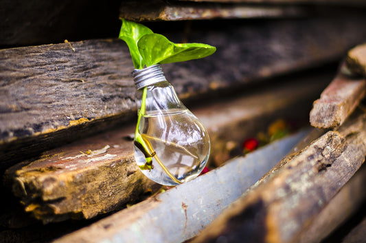 L'utilisation de matériaux recyclés