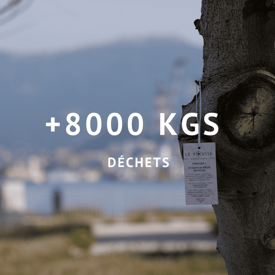 Plus de huit mille kilos de déchets collectés 