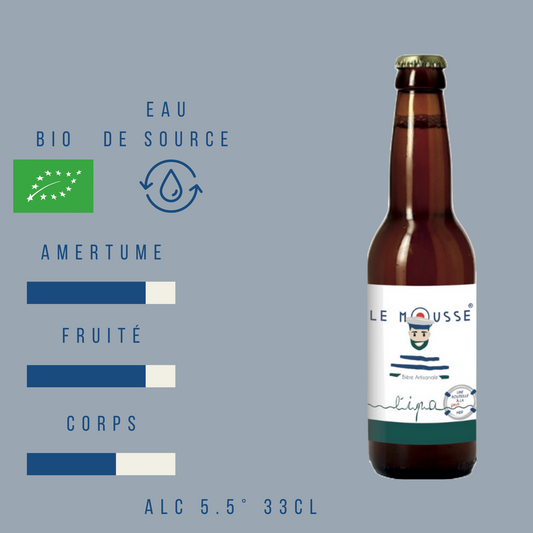 Bière IPA par 6